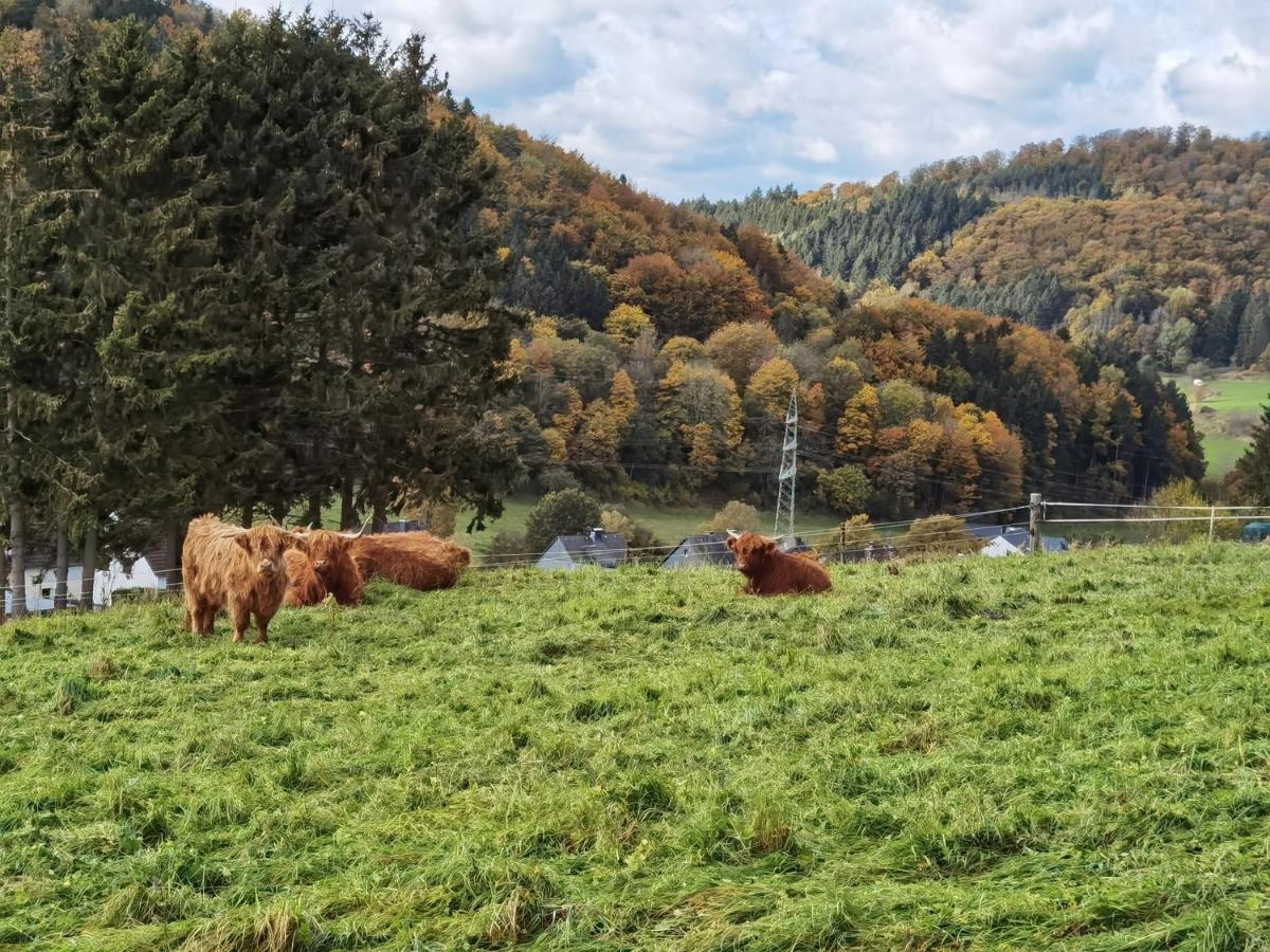 Ferienhaus Waldblick Hohenfels-Essingen Екстер'єр фото