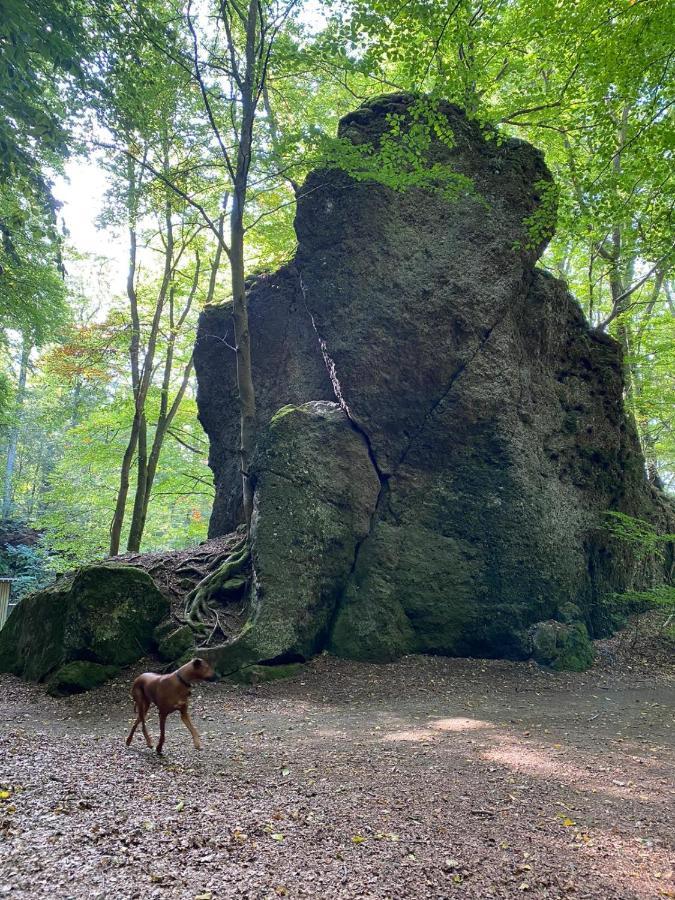Ferienhaus Waldblick Hohenfels-Essingen Екстер'єр фото